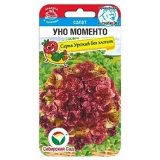 Салат Уно Моменто 0,5г (листовой,красный)