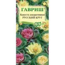 Цветок Капуста Русский круг декоративная