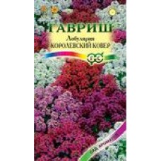 Цветок Лобулярия Королевский ковер серия Сад ароматов