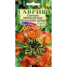 Цветок Спатодея Африканское тюльпанное дерево 0,05г