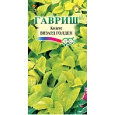 Цветок Колеус Визард Голден 5шт.сер.Элитная клумба