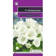 Цветок Глоксиния Императрица (белая) F1 5шт (гран.проб.)