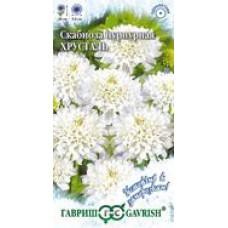 Цветок Скабиоза Хрусталь белая махровая 0,2г серия Устойчив к заморозкам!