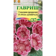 Цветок Глоксиния прекрасная Роза адмирала F1 5шт (гран.проб.)