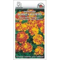 Цветок Бархатцы Бонита Болеро (отклон.h-25см,d-5см)