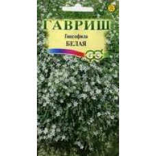 Цветок Гипсофила белая (ползучая) 0,1г
