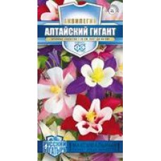 Цветок Аквилегия Алтайский гигант 0,1г сер.Рус.богатырь