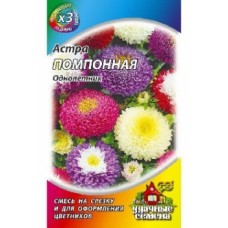 Цветок Астра Помпонная смесь 0,2г ХИТх3